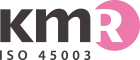 ISO 45003